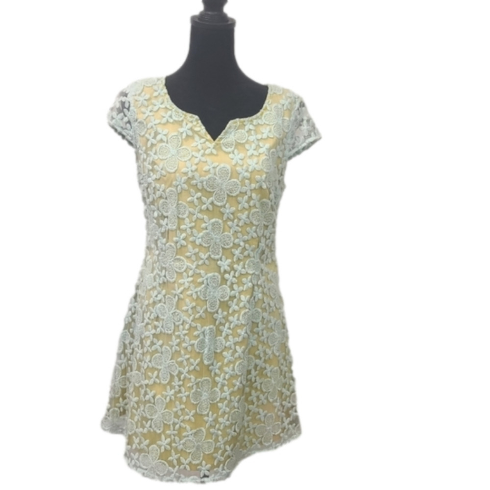 NICK and Me Dress lace cottagecore size small mint green midi.